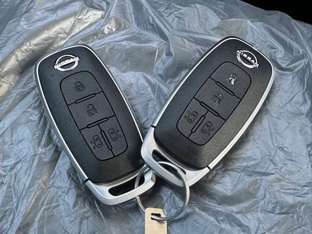 日産 ルークス ６６０ ＡＵＴＥＣＨライン ターボ プロパイロット エディション R8年 (東海) 99