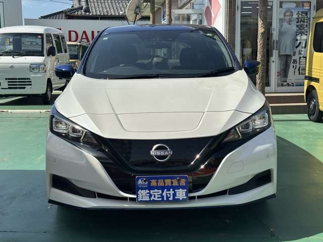 日産 リーフ ｅ＋　Ｘ R3年 (東海) 99