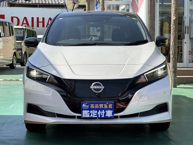 日産 リーフ Ｅ＋ Ｘ ９０周年記念車 R6年 (東海) 99