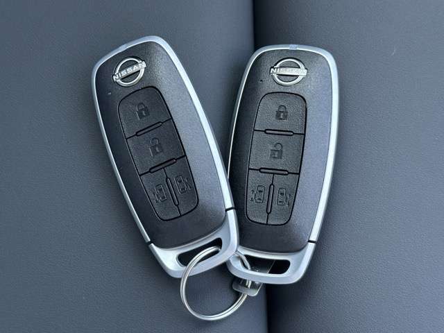 日産 セレナ ２．０ ＡＵＴＥＣＨ ライン 日産オリジナルナビ取付パッケージ装着車 R8年 (東海) 99