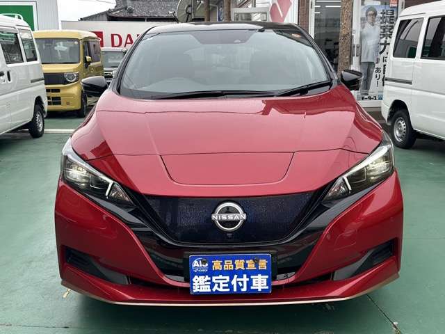日産 リーフ Ｅ＋ Ｘ ９０周年記念車 R6年 (東海) 99