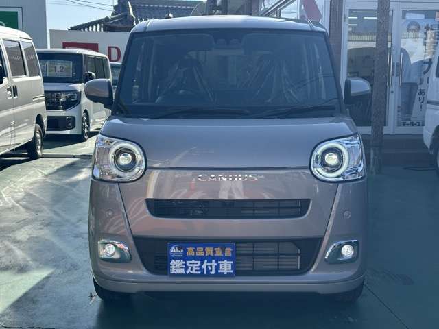 ダイハツ ムーヴ　キャンバス ６６０ セオリー Ｇ R7年 (東海) 99