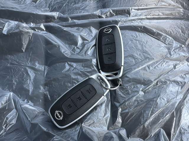日産 エクストレイル １．５ Ｇ Ｅ－４ＯＲＣＥ ４ＷＤ R7年 (東海) 99
