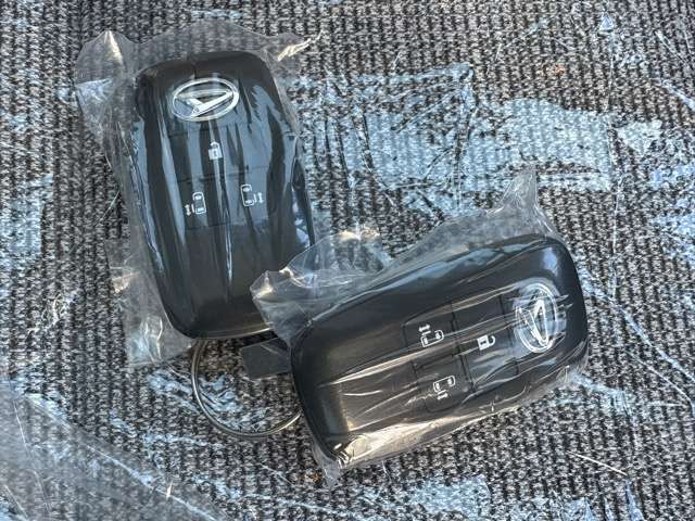 ダイハツ ムーヴ　キャンバス ６６０ ストライプス Ｇ R7年 (東海) 99