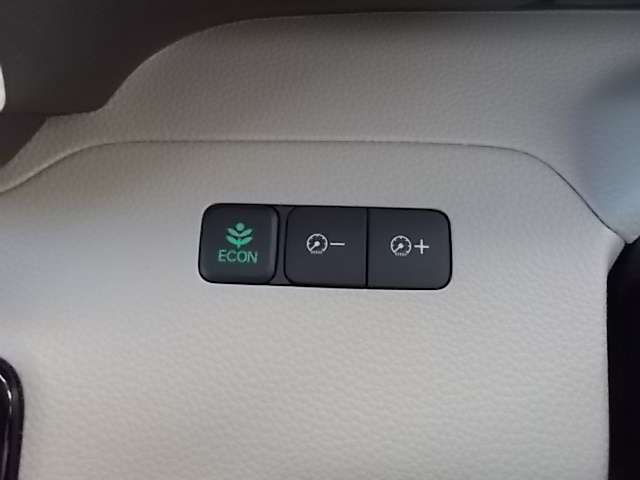 ホンダ Ｎ　ＢＯＸ ６６０ Ｇ ＥＸ ホンダセンシング ４ＷＤ H29年 () 99