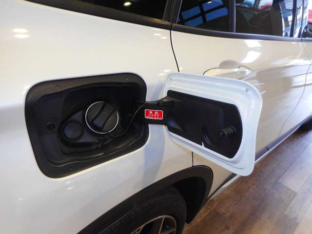 ＢＭＷ Ｘ１ Ｘドライブ ２５Ｉ Ｘライン ４ＷＤ H27年 () 99