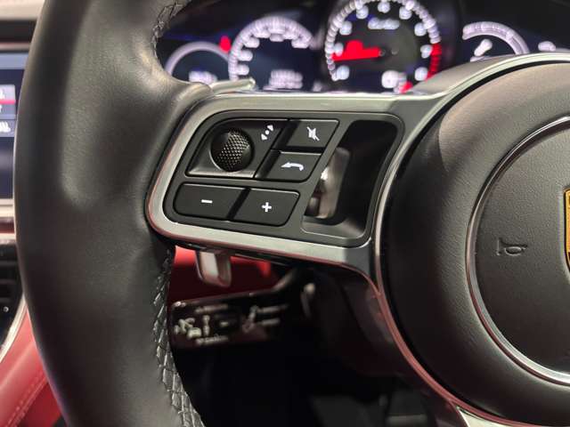 ポルシェ パナメーラ ターボ ＰＤＫ ４ＷＤ R1年 (関東) 99