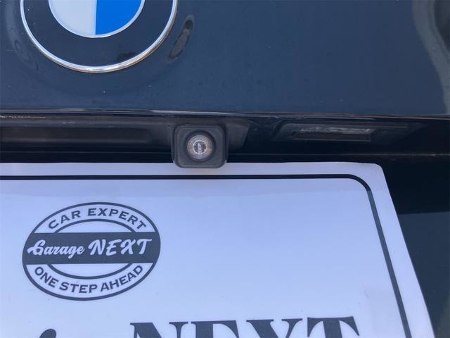 ＢＭＷ Ｘ３ Ｘドライブ２０Ｄ Ｍスポーツ ディーゼルターボ ４ＷＤ H30年 (甲信越・北陸) 99