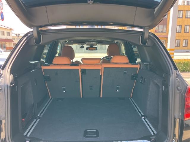ＢＭＷ Ｘ３ Ｘドライブ２０Ｄ Ｍスポーツ ディーゼルターボ ４ＷＤ H30年 (甲信越・北陸) 99