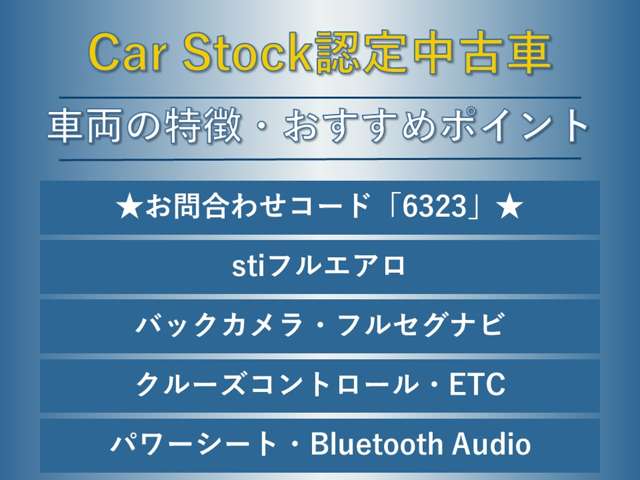 スバル レヴォーグ １．６ ＧＴ－Ｓ アイサイト ４ＷＤ H28年 (東海) 99