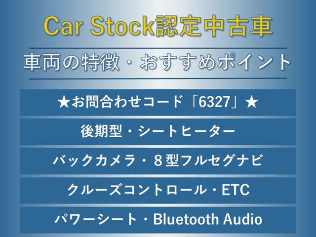 スバル レヴォーグ １．６ ＧＴ－Ｓ アイサイト ４ＷＤ H29年 (東海) 99