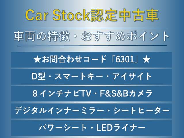 スバル レヴォーグ １．６ ＧＴ アイサイト Ｓスタイル ４ＷＤ H30年 (東海) 99