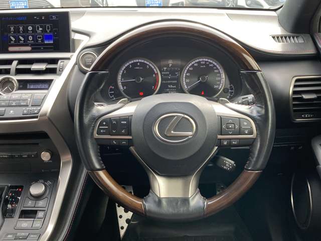 レクサス ＮＸ２００ｔ Ｆスポーツ H28年 (九州・沖縄) 99