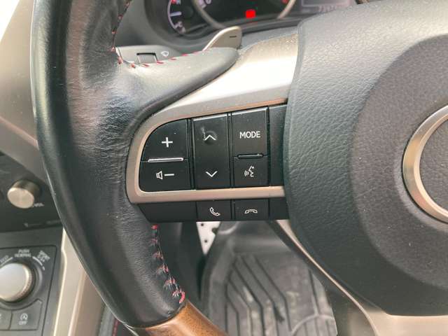 レクサス ＮＸ２００ｔ Ｆスポーツ H28年 (九州・沖縄) 99
