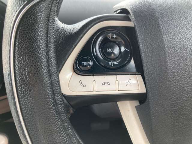 トヨタ プリウス １．８ Ａ プレミアム ツーリングセレクション H28年 (九州・沖縄) 99