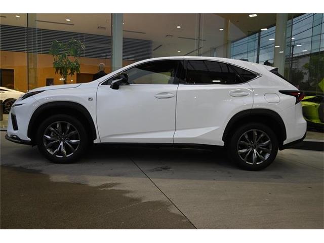 レクサス ＮＸ３００ Ｆスポーツ R1年 (九州・沖縄) 99
