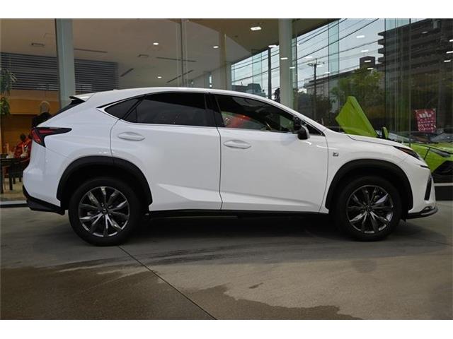 レクサス ＮＸ３００ Ｆスポーツ R1年 (九州・沖縄) 99