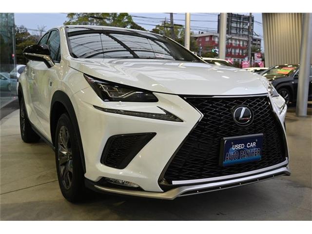 レクサス ＮＸ３００ Ｆスポーツ R1年 (九州・沖縄) 99