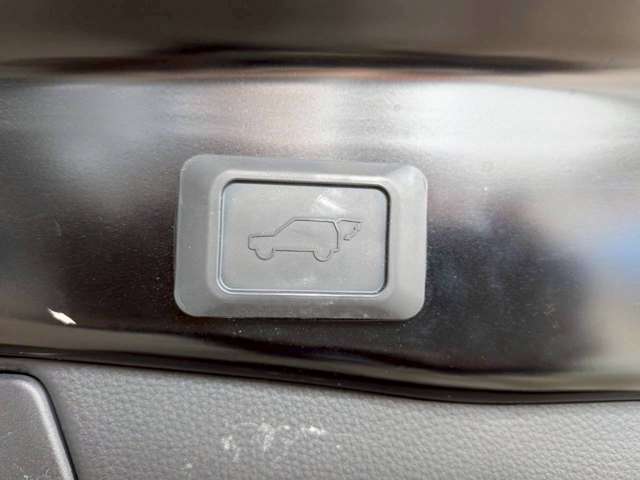 トヨタ ＲＡＶ４ ２．０ Ｇ ４ＷＤ R2年 (九州・沖縄) 99