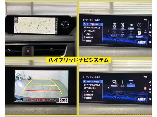 レクサス ＵＸ２５０ｈ Ｆスポーツ R1年 (東海) 99