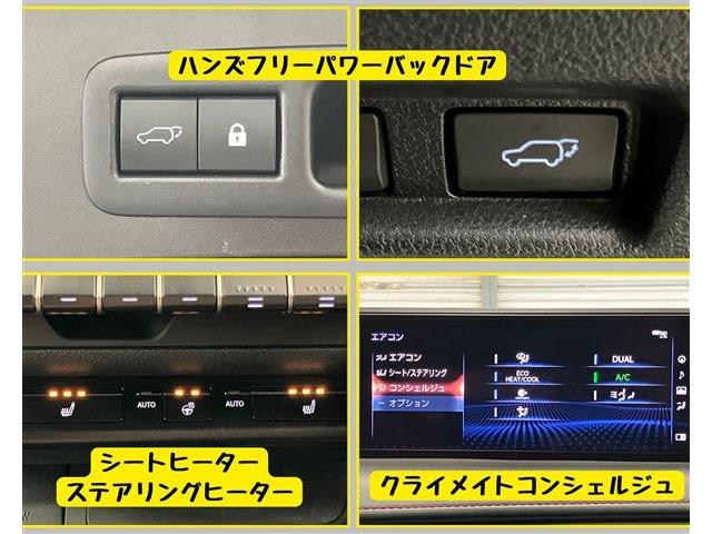 レクサス ＵＸ２５０ｈ Ｆスポーツ R1年 (東海) 99
