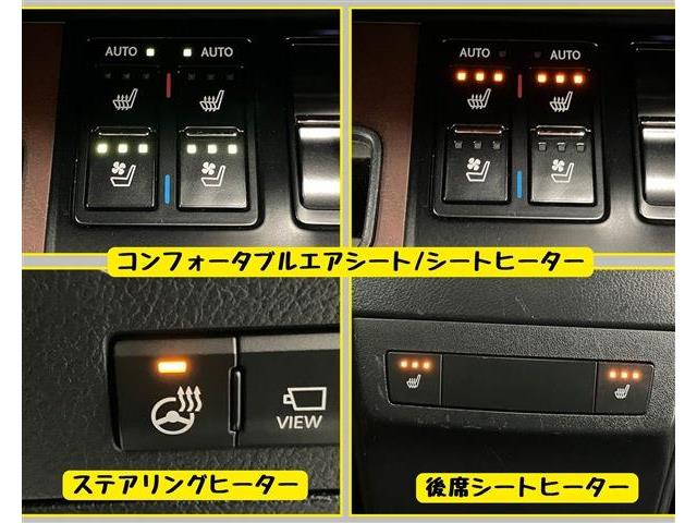 レクサス ＲＸ３００ バージョンＬ R2年 (東海) 99