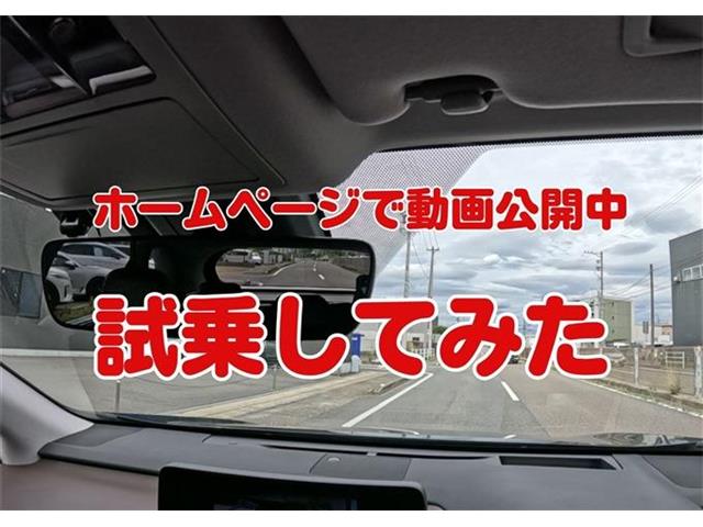 レクサス ＲＸ３００ バージョンＬ R2年 (東海) 99