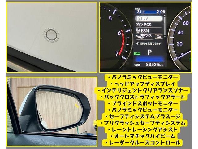 レクサス ＲＸ２００ｔ バージョンＬ H28年 (東海) 99