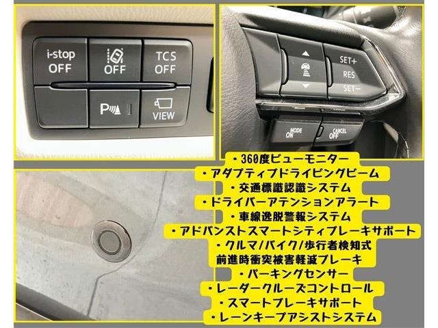 マツダ ＣＸ−８ ２．５ ２５Ｓ Ｌパッケージ R2年 (東海) 99