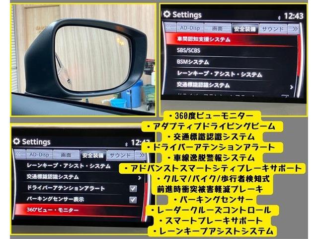 マツダ ＣＸ−８ ２．５ ２５Ｓ Ｌパッケージ R2年 (東海) 99