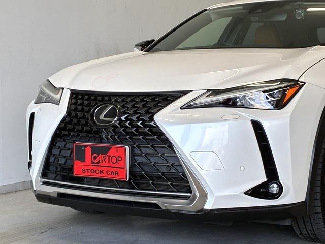 レクサス ＵＸ２００ バージョンＣ R1年 (中国) 99