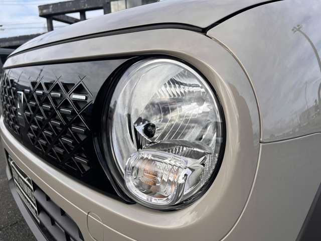 スズキ アルトラパン ６６０ ハイブリッド Ｇ R7年 (関東) 99