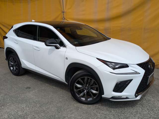 レクサス ＮＸ３００ Ｆスポーツ H30年 (九州・沖縄) 99