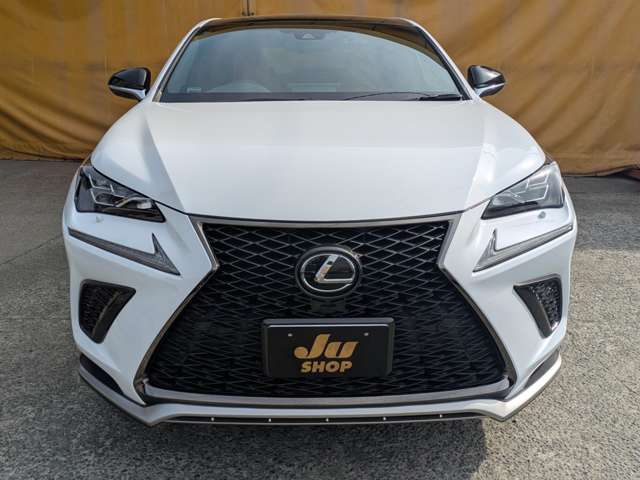 レクサス ＮＸ３００ Ｆスポーツ H30年 (九州・沖縄) 99