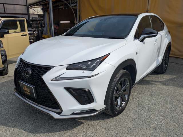レクサス ＮＸ３００ Ｆスポーツ H30年 (九州・沖縄) 99