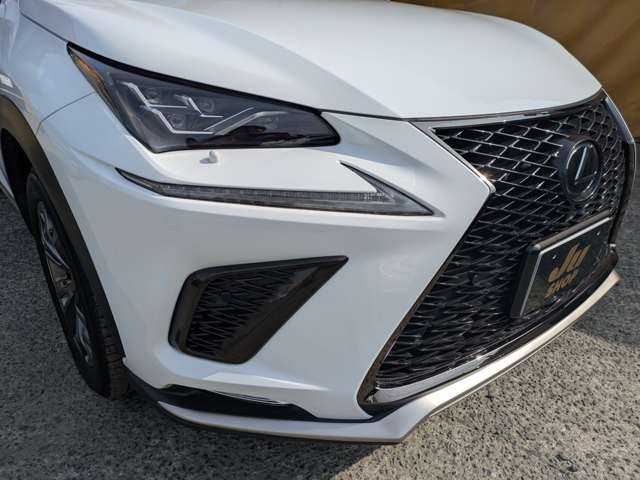 レクサス ＮＸ３００ Ｆスポーツ H30年 (九州・沖縄) 99