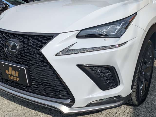 レクサス ＮＸ３００ Ｆスポーツ H30年 (九州・沖縄) 99