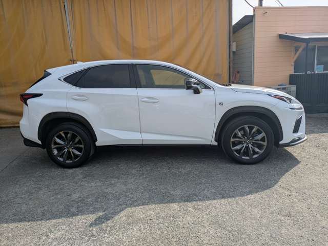 レクサス ＮＸ３００ Ｆスポーツ H30年 (九州・沖縄) 99