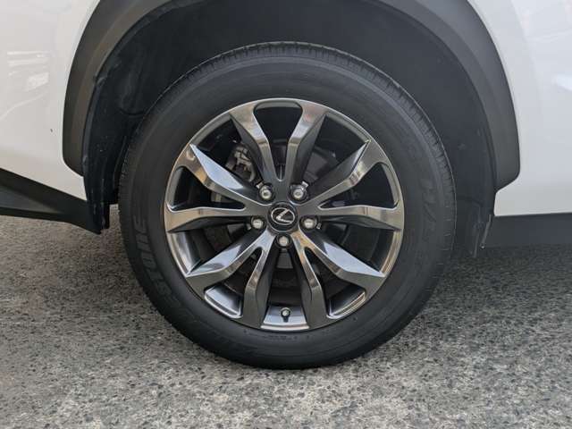 レクサス ＮＸ３００ Ｆスポーツ H30年 (九州・沖縄) 99