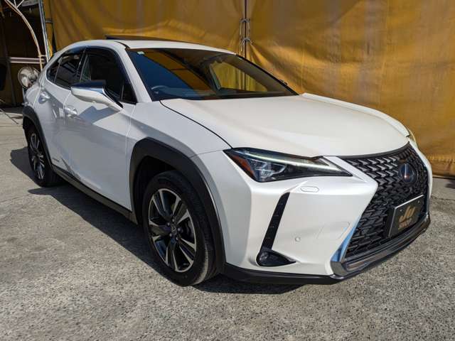 レクサス ＵＸ２５０ｈ バージョンＬ R1年 (九州・沖縄) 99