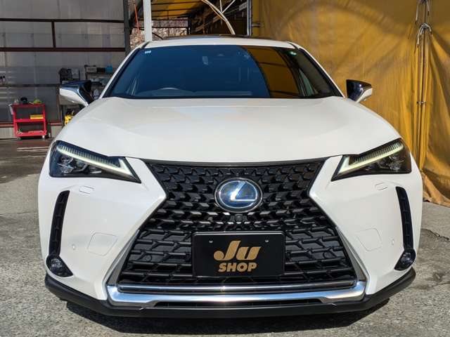 レクサス ＵＸ２５０ｈ バージョンＬ R1年 (九州・沖縄) 99
