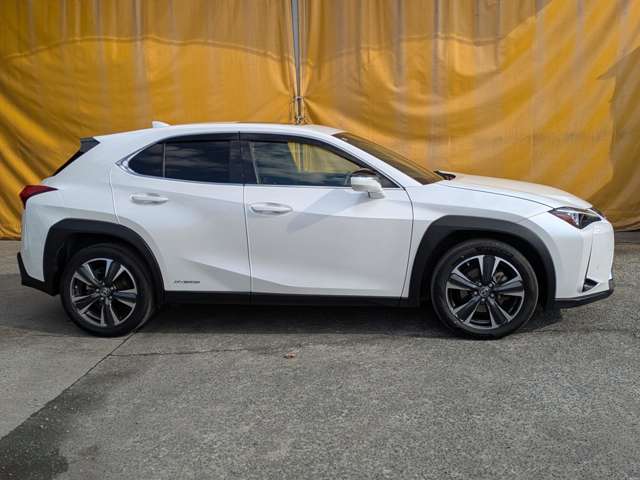 レクサス ＵＸ２５０ｈ バージョンＬ R1年 (九州・沖縄) 99