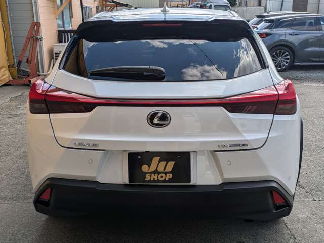 レクサス ＵＸ２５０ｈ バージョンＬ R1年 (九州・沖縄) 99