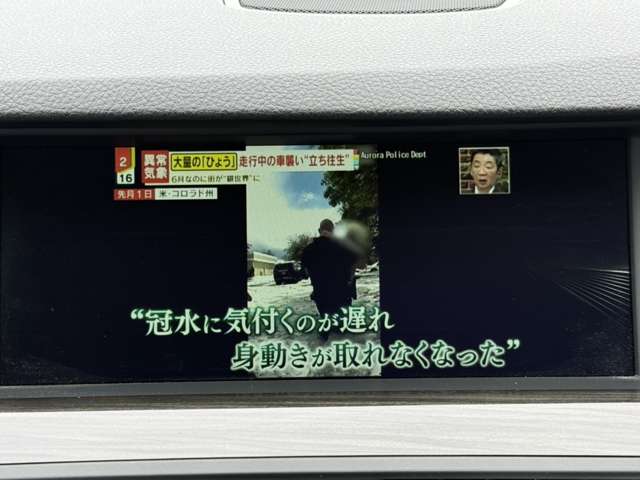 ＢＭＷ ５シリーズ ５２３Ｄ ブルーパフォーマンス Ｍスポーツパッケージ H25年 (東海) 99