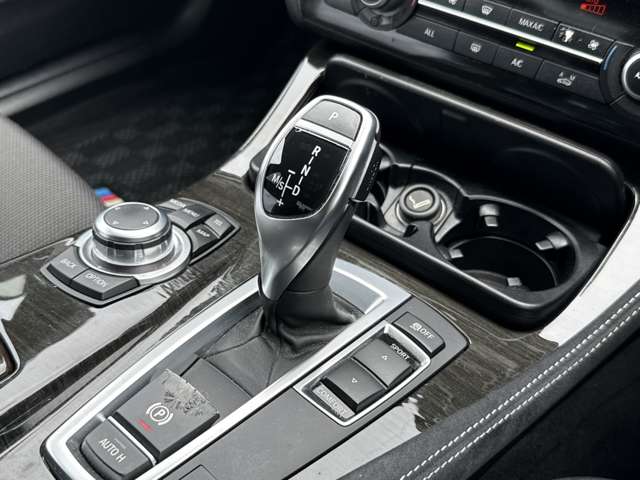 ＢＭＷ ５シリーズ ５２３Ｄ ブルーパフォーマンス Ｍスポーツパッケージ H25年 (東海) 99