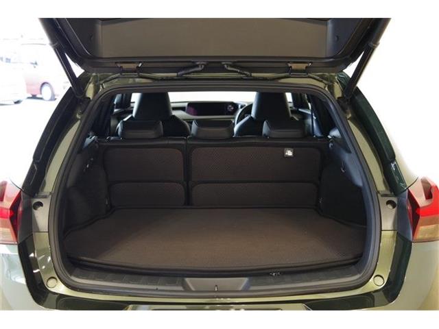 レクサス ＵＸ２５０ｈ バージョンＬ R2年 (東海) 99