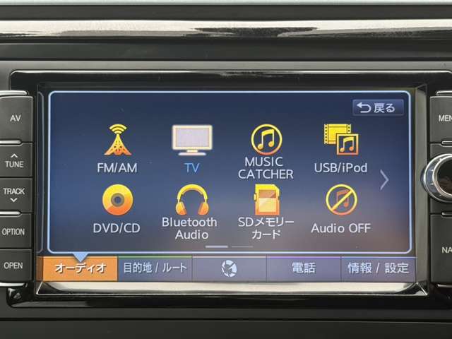 フォルクスワーゲン ザ　ビートル デザイン H30年 (東海) 99