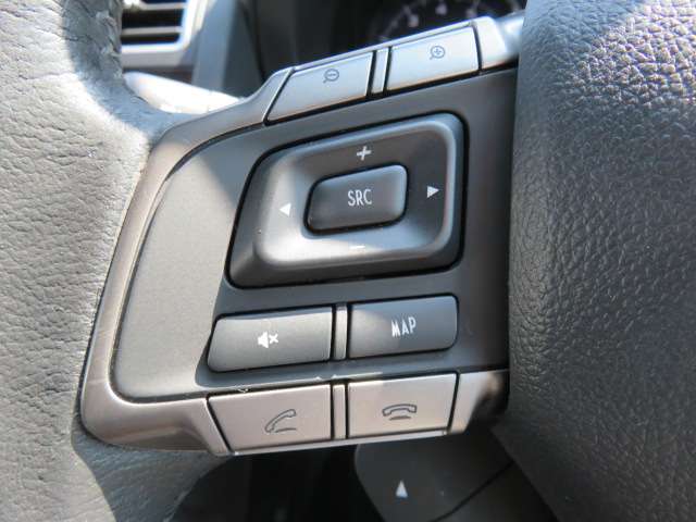 スバル フォレスター ２．０ Ｓ リミテッド ４ＷＤ H27年 (甲信越・北陸) 99