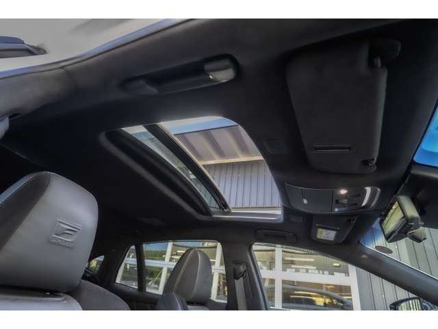 レクサス ＬＳ５００ ５００ Ｆスポーツ ４ＷＤ H30年 (北海道) 99