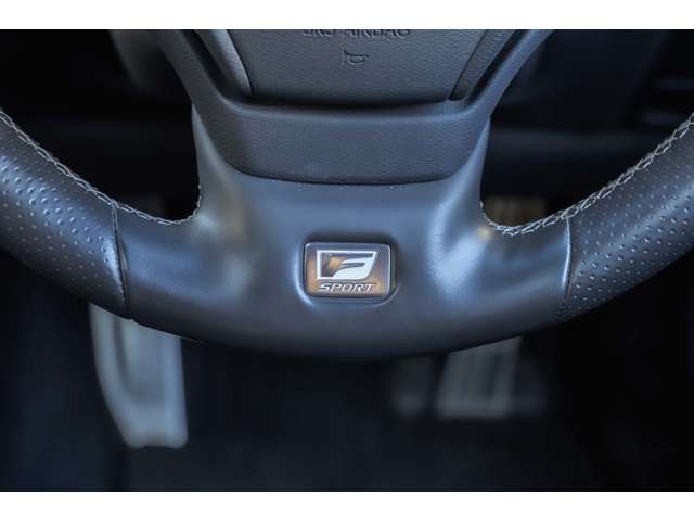 レクサス ＬＳ５００ ５００ Ｆスポーツ ４ＷＤ H30年 (北海道) 99